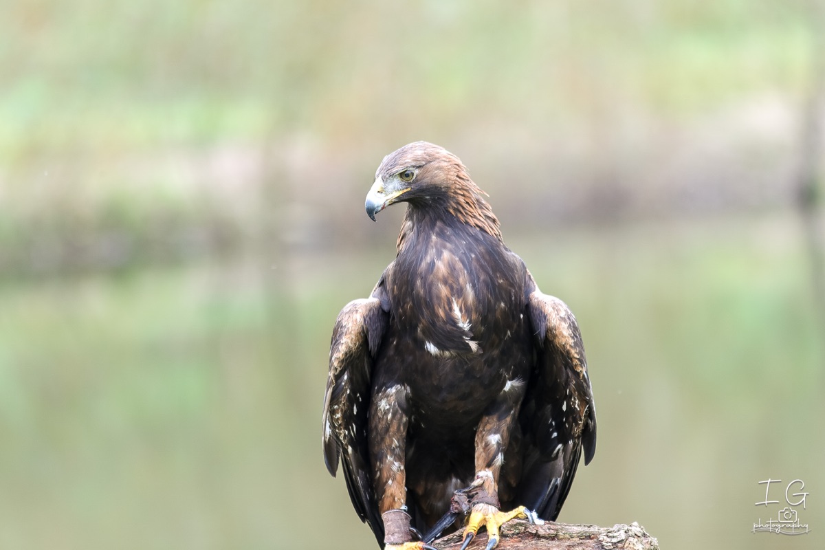 20211023 AK6I0037 insta